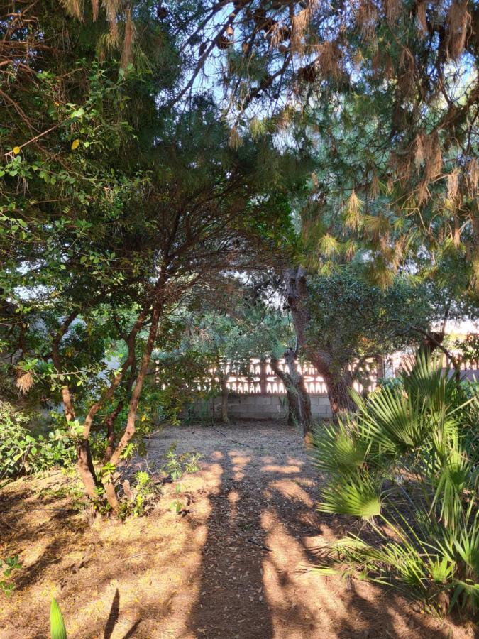 Villa Cino プンタ・プロシュート エクステリア 写真